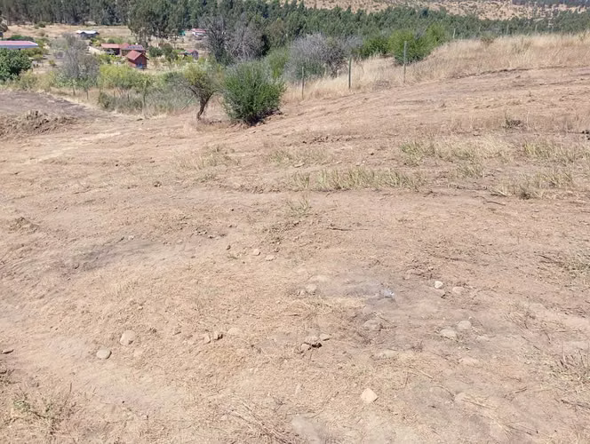 PARCELA DE AGRADO EN LA ESTRELLA (101547)