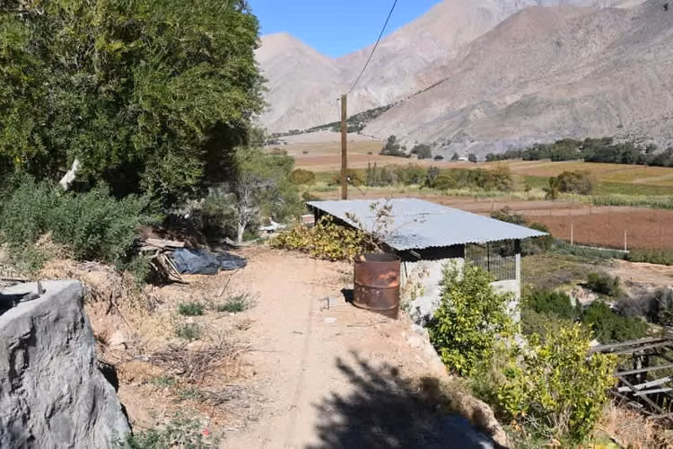 Agrícola PAIHUANO