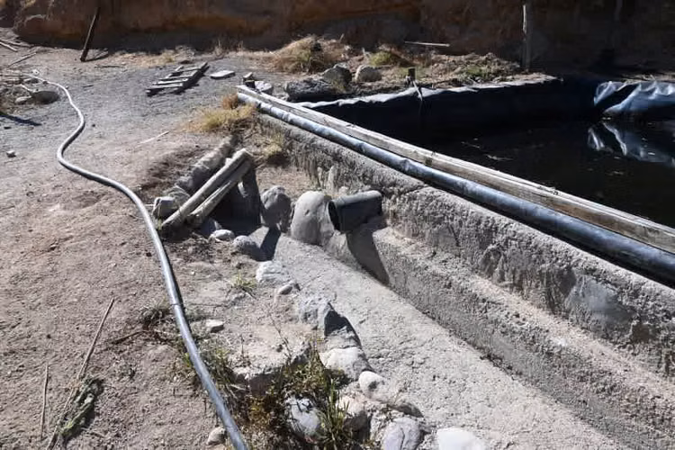 Agrícola PAIHUANO