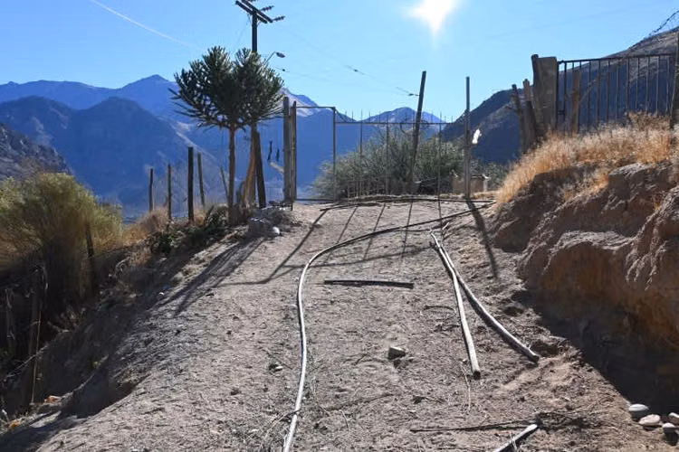 Agrícola PAIHUANO