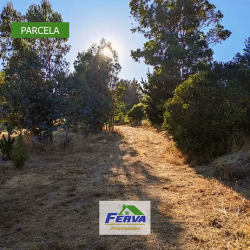 Se vende parcela, sector Pulpería, Yumbel