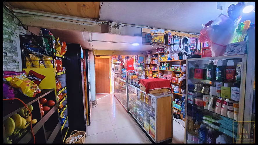VENDE CASA CON ALMACEN , EN SANTA JUANA (101809)