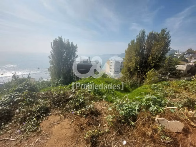 Sitio 700 Mt Con Maravillosa Vista, Higuerillas/borgoño