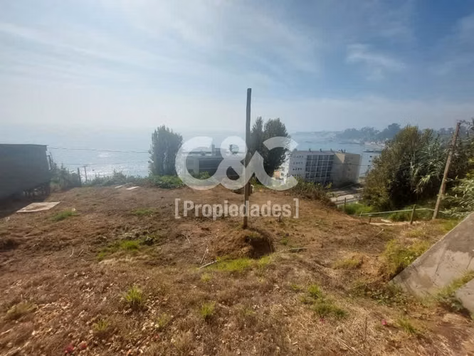 Sitio 700 Mt Con Maravillosa Vista, Higuerillas/borgoño