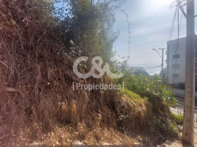 Sitio 700 Mt Con Maravillosa Vista, Higuerillas/borgoño