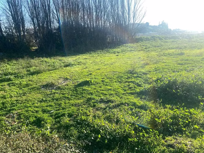 6500m2  Terreno en Concepción  (102538) - Imagen 6