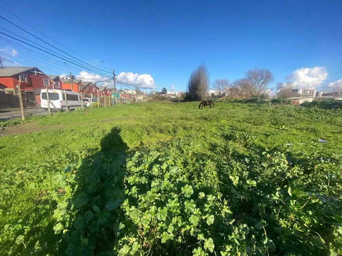 6500m2  Terreno en Concepción  (102538) - Imagen 4