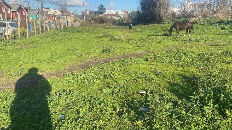 6500m2  Terreno en Concepción  (102538) - Imagen 3