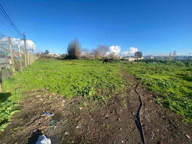 Excelente Terreno en Venta,  Concepción (102538)