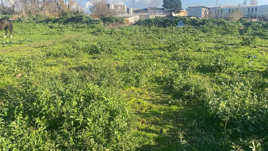 6500m2  Terreno en Concepción  (102538) - Imagen 5