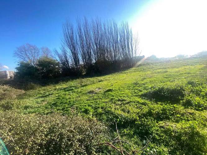 6500m2  Terreno en Concepción  (102538) - Imagen 7