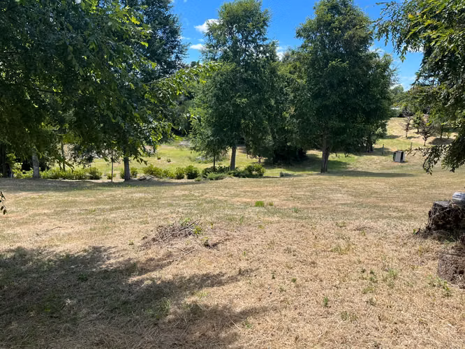 Vendo hermosa parcela Villarrica - Imagen 6