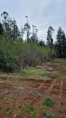 Parcela en Condominio Terrazas de Valdivia - Imagen 6