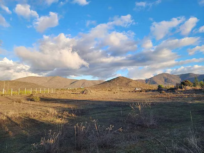 Parcela 5000 m2 en venta Barrancas Coquimbo  (102846)