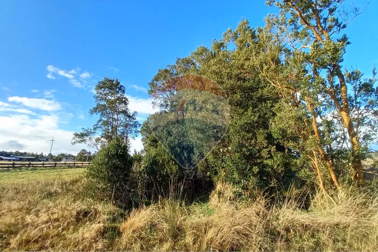 Vende 5.000 m2/cumbres de frutillar/con bosque
