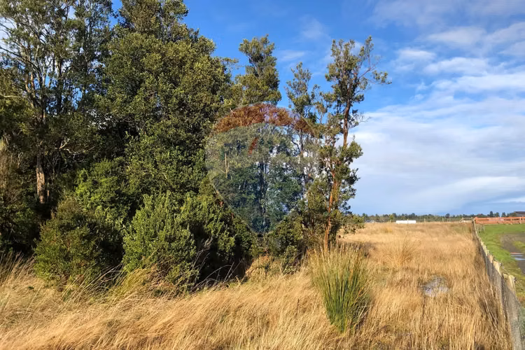 Vende 5.000 m2/cumbres de frutillar/con bosque