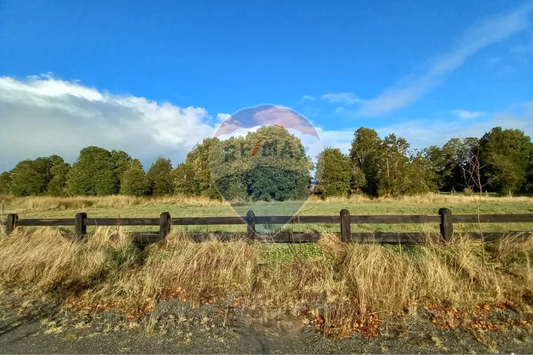 Vende 5.000 m2/cumbres de frutillar/con bosque