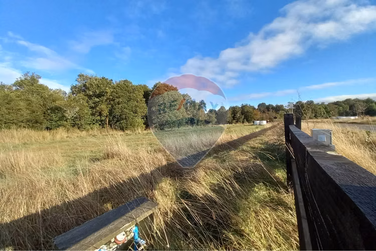 Vende 5.000 m2/cumbres de frutillar/con bosque