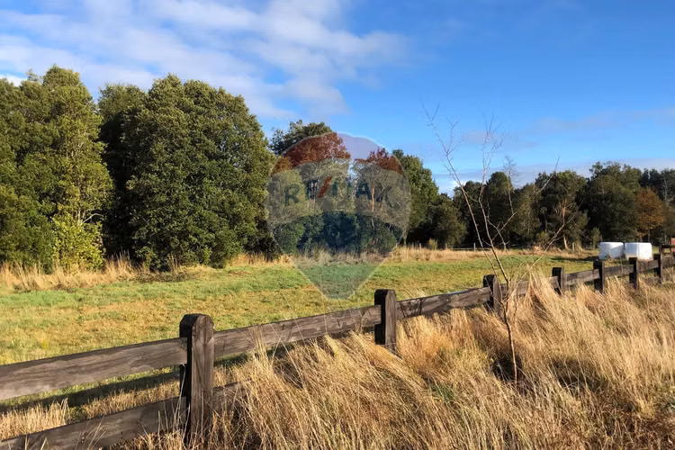 Vende 5.000 m2/cumbres de frutillar/con bosque