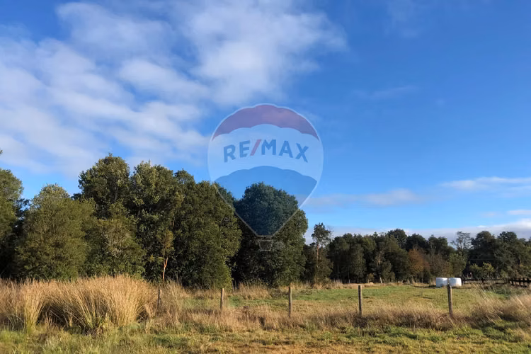 Vende 5.000 m2/cumbres de frutillar/con bosque