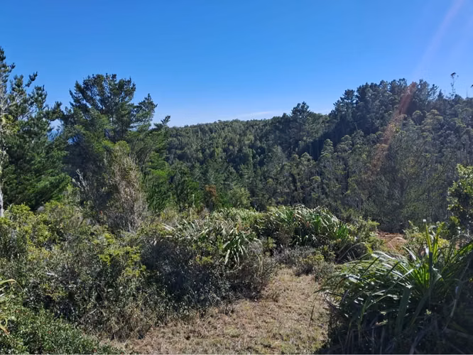 Parcelas San Ignacio Alto - Imagen 4