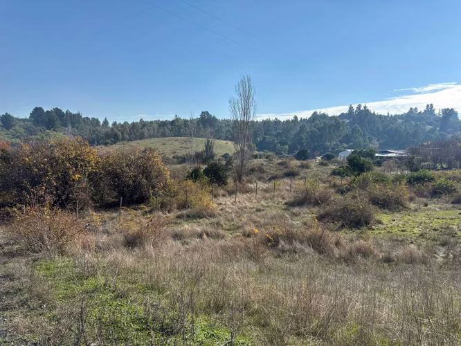 a tan solo 45 minutos de concepcion parcelas (103640)