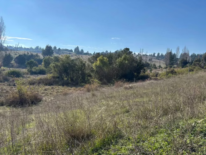 a tan solo 45 minutos de concepcion parcelas (103640)