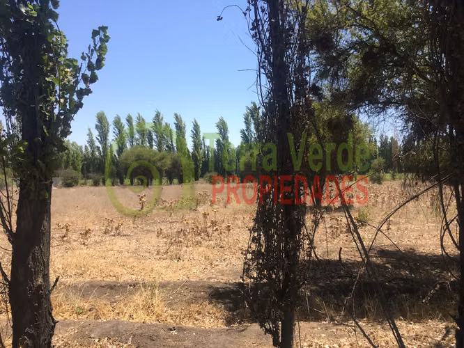 VENTA SECTOR SANTA ROSA - Imagen 9