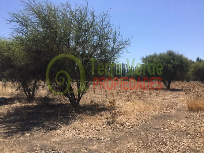 VENTA SECTOR SANTA ROSA - Imagen 7