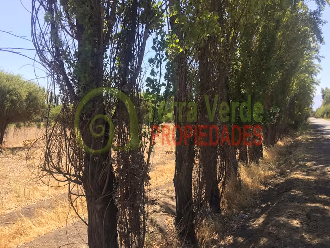 VENTA SECTOR SANTA ROSA - Imagen 3