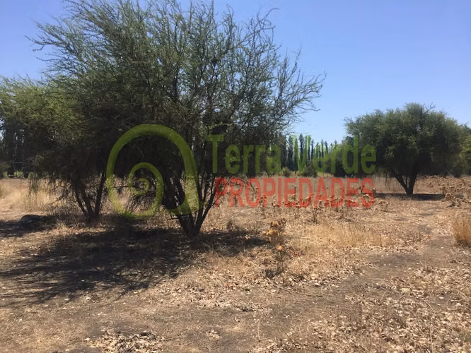 VENTA SECTOR SANTA ROSA - Imagen 5