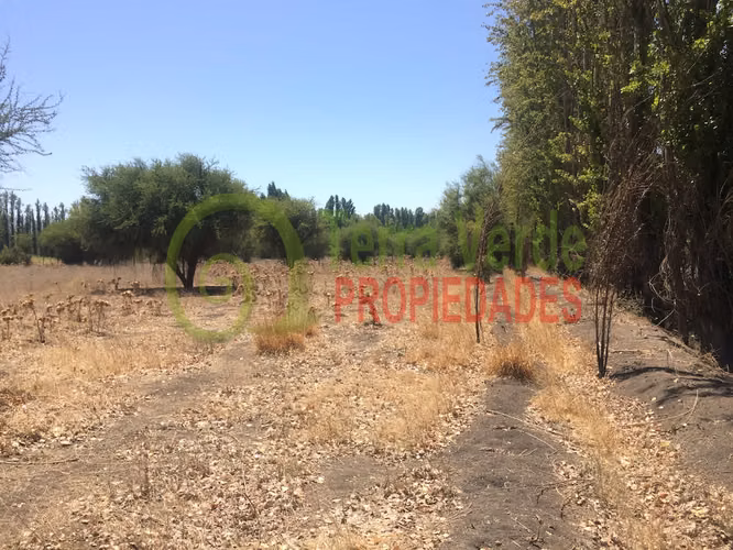 VENTA SECTOR SANTA ROSA - Imagen 4