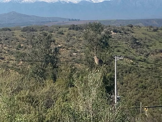 Terreno para proyecto (103786) - Imagen 9