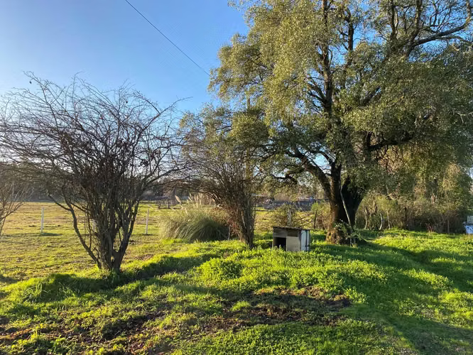 Plano y muy bonito (104004)