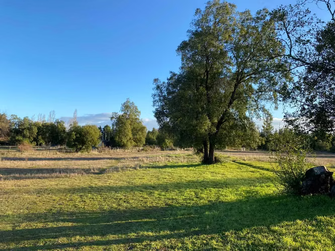 Plano y muy bonito (104004)