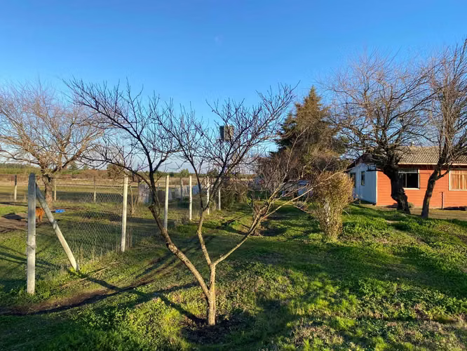 Plano y muy bonito (104004)