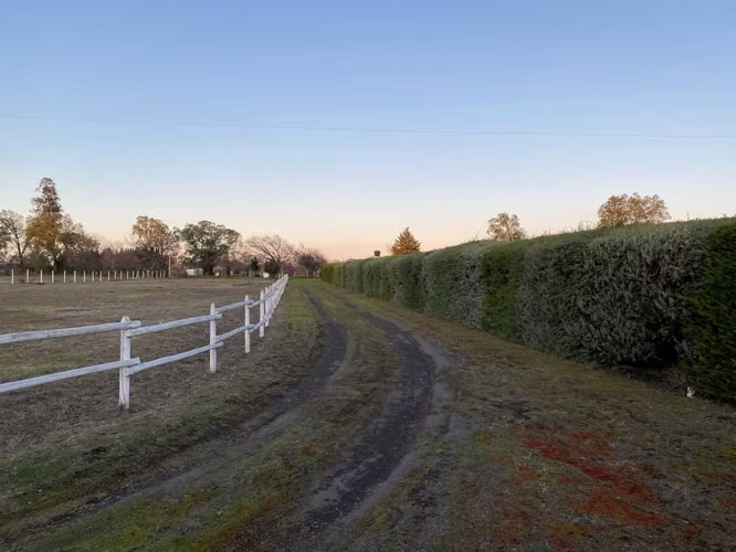 Plano y muy bonito (104004)