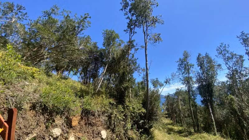 LAGO RANCO, PITREÑO - Imagen 9