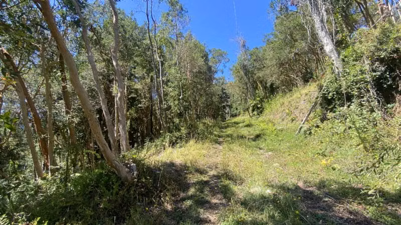 LAGO RANCO, PITREÑO - Imagen 7