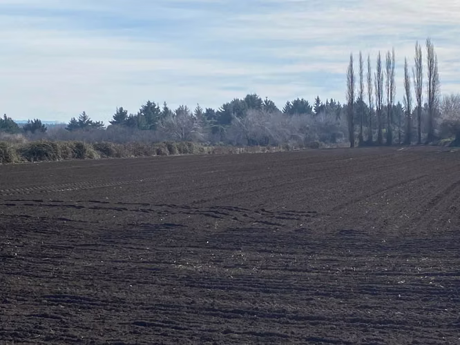 Muy cerca de Ruta Nahuelbuta (104164)