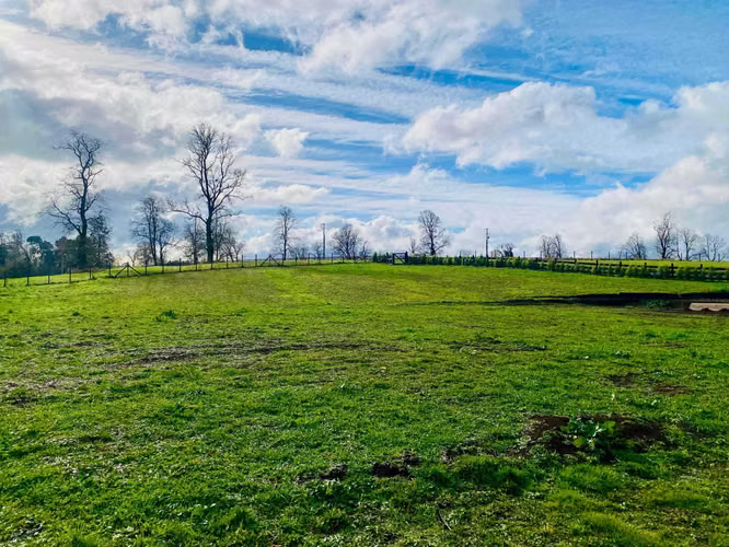 Parcela, Bosques del Rio Tijeral (104182) - Imagen 5