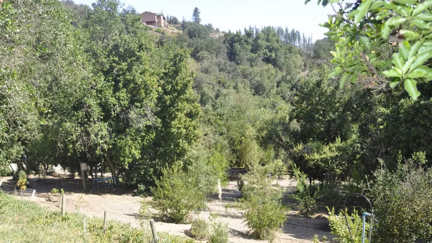 Venta Fundo Porvenir Casablanca (104438)