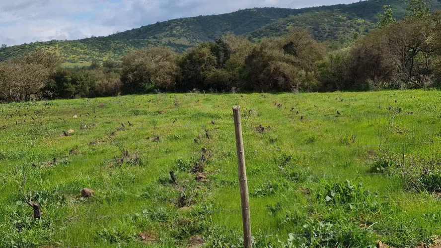 Venta Parcelas La Quebradilla Casablanca (104441)