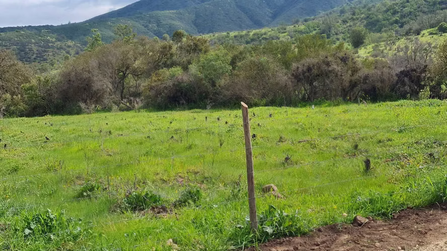 Venta Parcelas La Quebradilla Casablanca (104441)