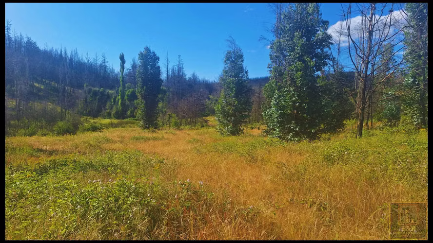 SE VENDEN TERRENOS EN SANTA JUANA , RURAL  (104525)