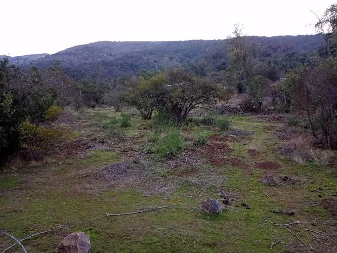 Parcelas desde $45MM Paine, Águila Sur, cerro, planas y semiplanas