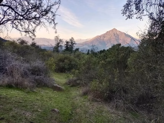 Parcelas desde $45MM Paine, Águila Sur, cerro, planas y semiplanas