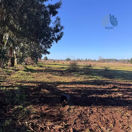 Gran Terreno en Zona Urbana Collipulli (104963)