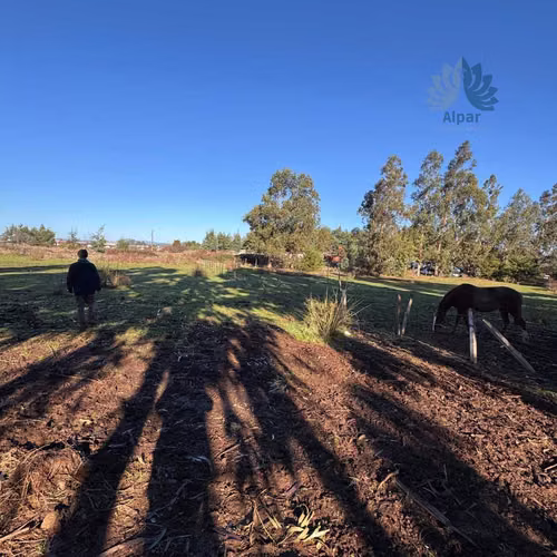 Gran Terreno en Zona Urbana Collipulli (104963)