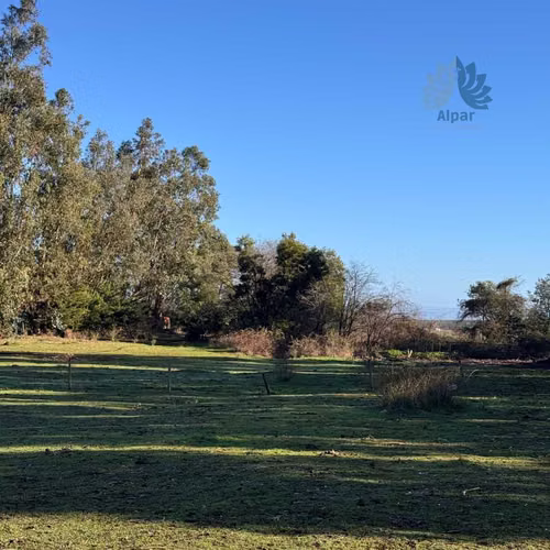 Gran Terreno en Zona Urbana Collipulli (104963)